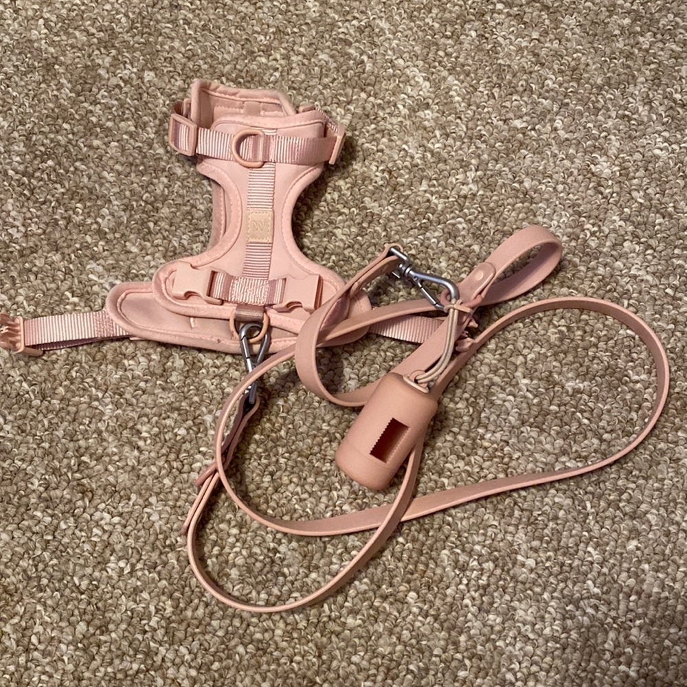 Wild One harness walk kit
